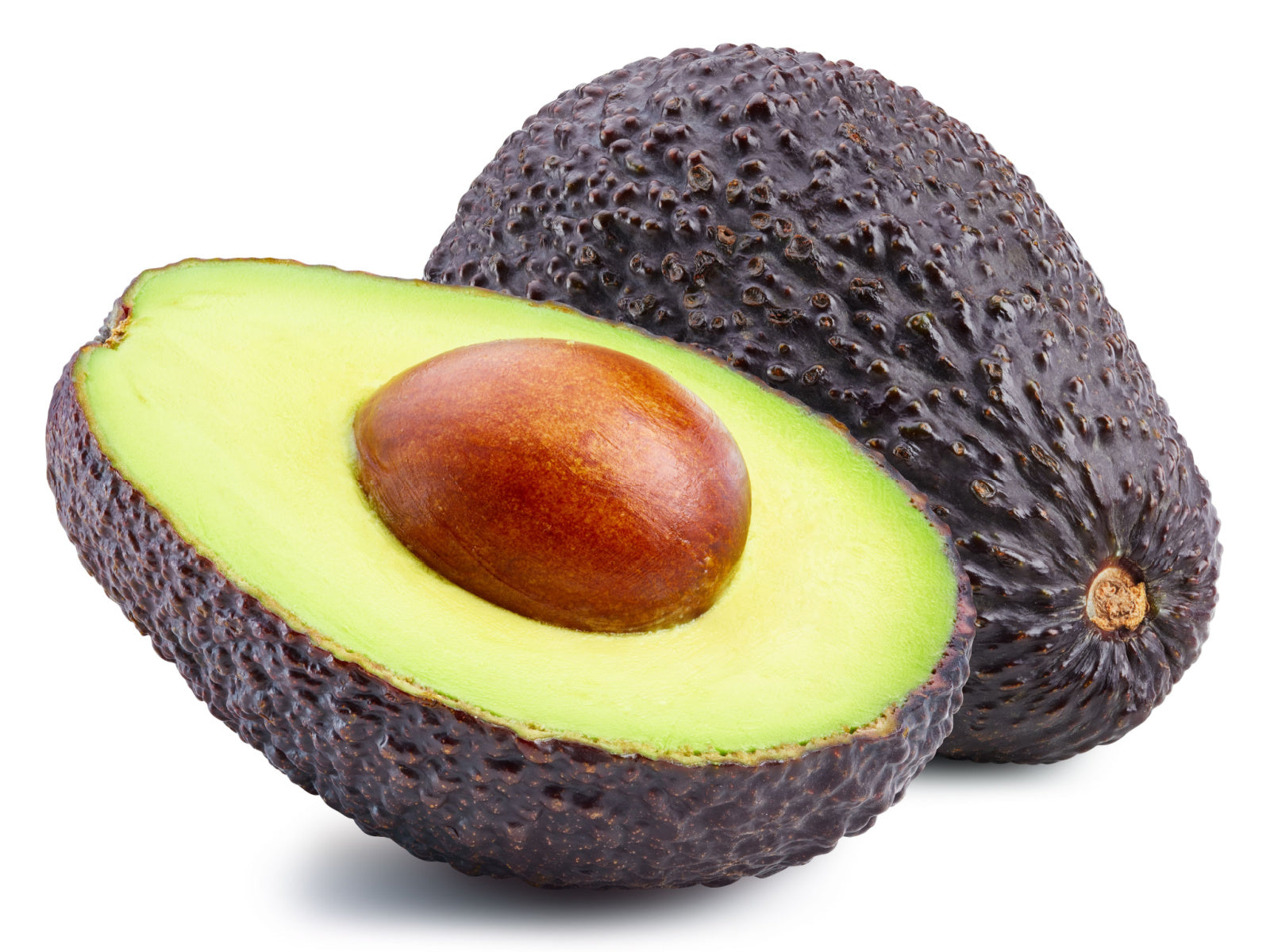 GEM Avocado Tree- 6 Pack