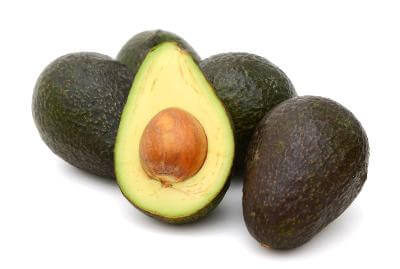 Sir Prize Avocado Tree- 6 Pack