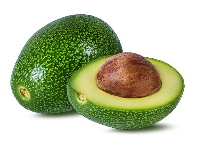 Little Cado Avocado Tree- 6 Pack